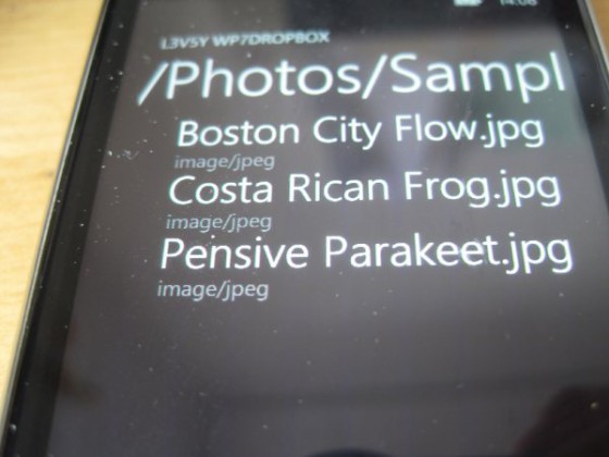 IMG_2046 50C23E3D