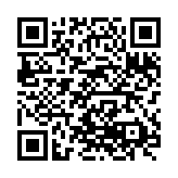 MiniSquadron!-qr