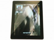 Das iPad für Pferde (Video)