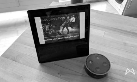 Echo Show Echo Dot