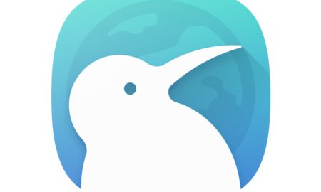 Kiwi Browser