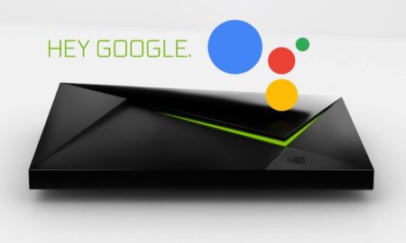 Google Assistant De