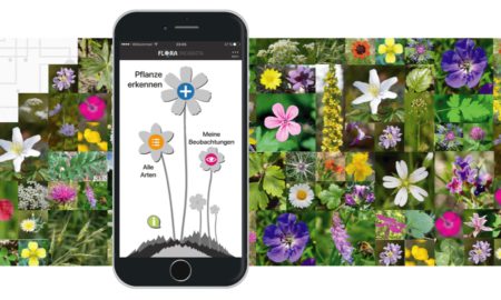 Flora Incognita Header