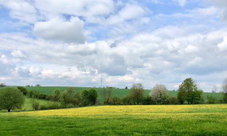 Natur Umwelt Landschaft