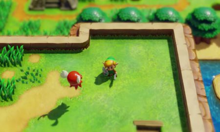 Zelda Awakening Switch