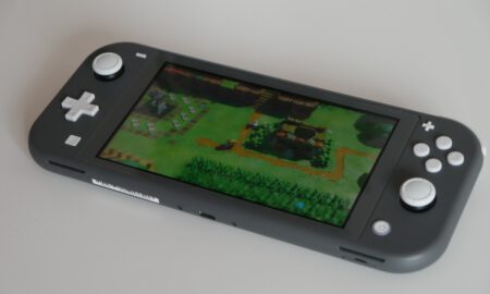 Nintendo Switch Lite Test6