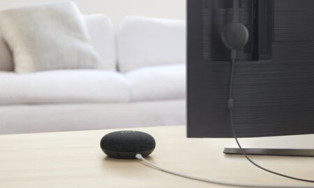 Google Nest Mini Leak