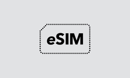 Esim Logo