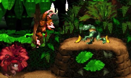 Donkey Kong Country