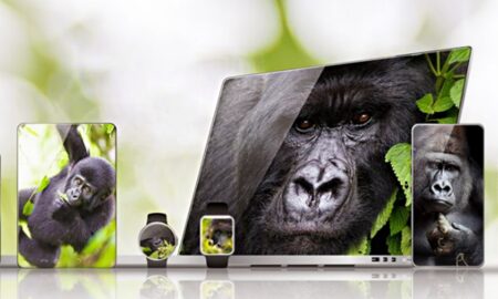 Gorilla Glass Victus
