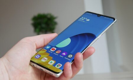 Lg Velvet Hand