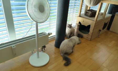 Xiaomi Mi Stand Fan C1 Header