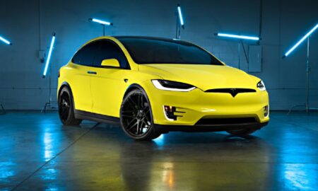Tesla Folie China