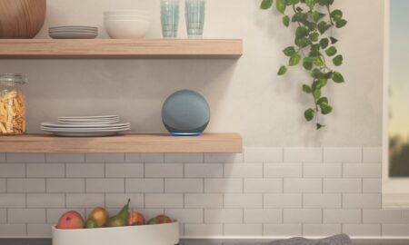 Amazon Echo Grau