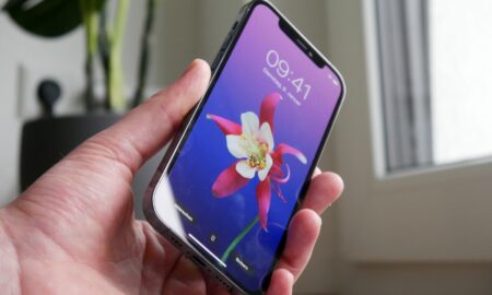 Apple Iphone 12 Pro Hand Blume