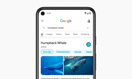 Google Suche Design Neu Header