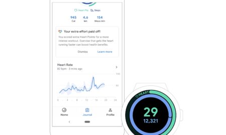 Google Fit Herzschlag