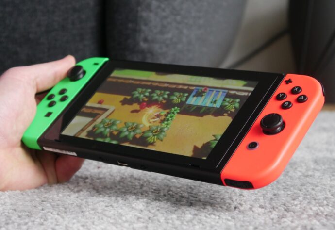 Nintendo Switch Zelda Hand