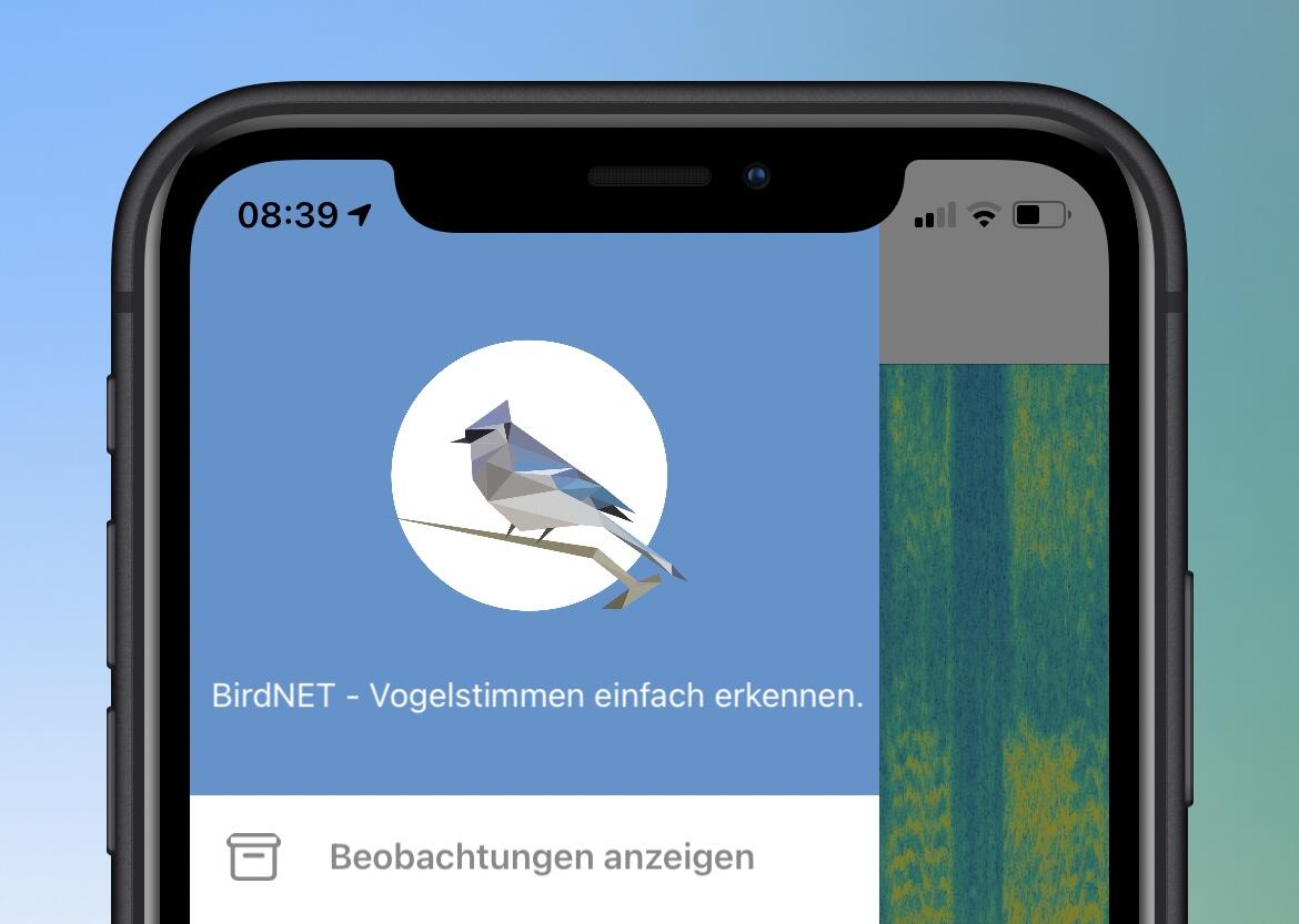 BirdNet: KI-gestützte Vogelstimmen-App für Android und iOS