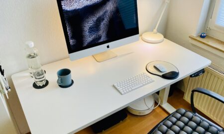 E6 Flexispot
