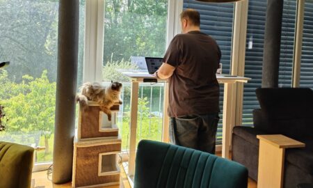 Acgam Elektr. Schreibtisch Arbeit Im Stehen