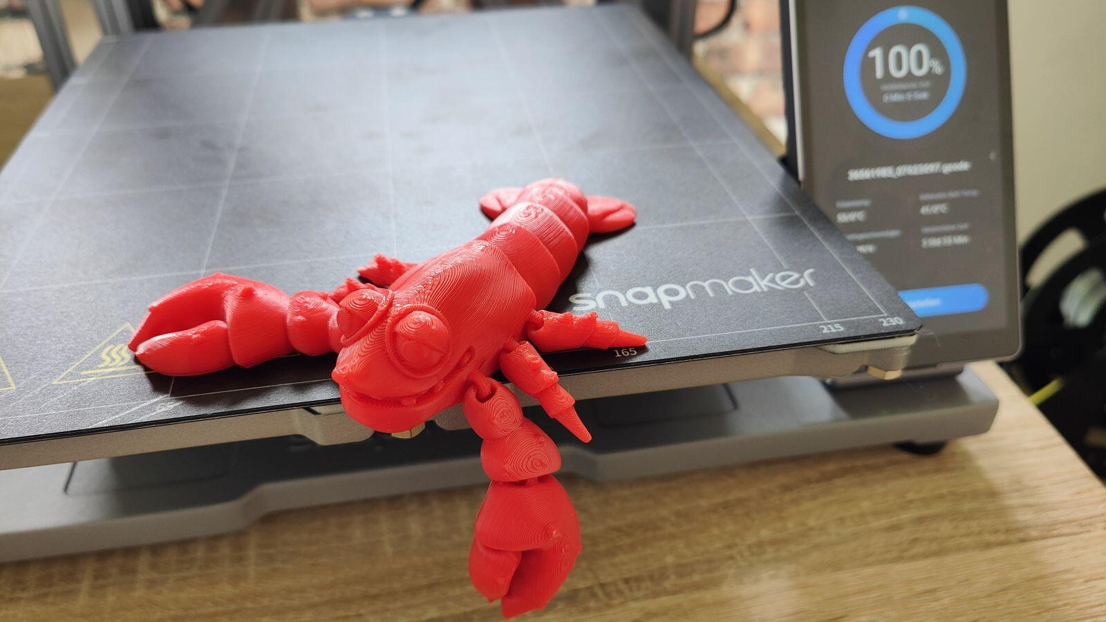 Snapmaker A250t Lobster