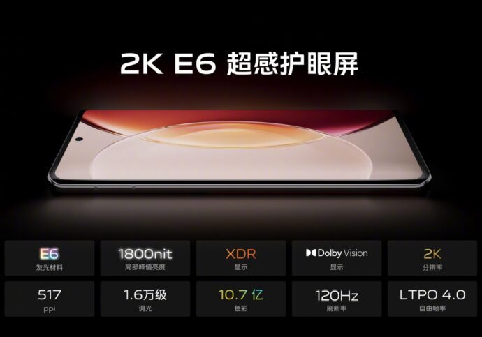 Vivo X90 Pro Plus Display