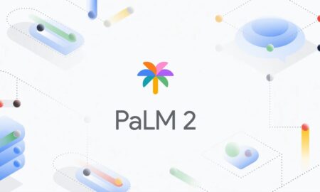 Palm 2