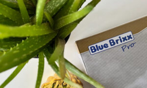 Blue Brixx Header