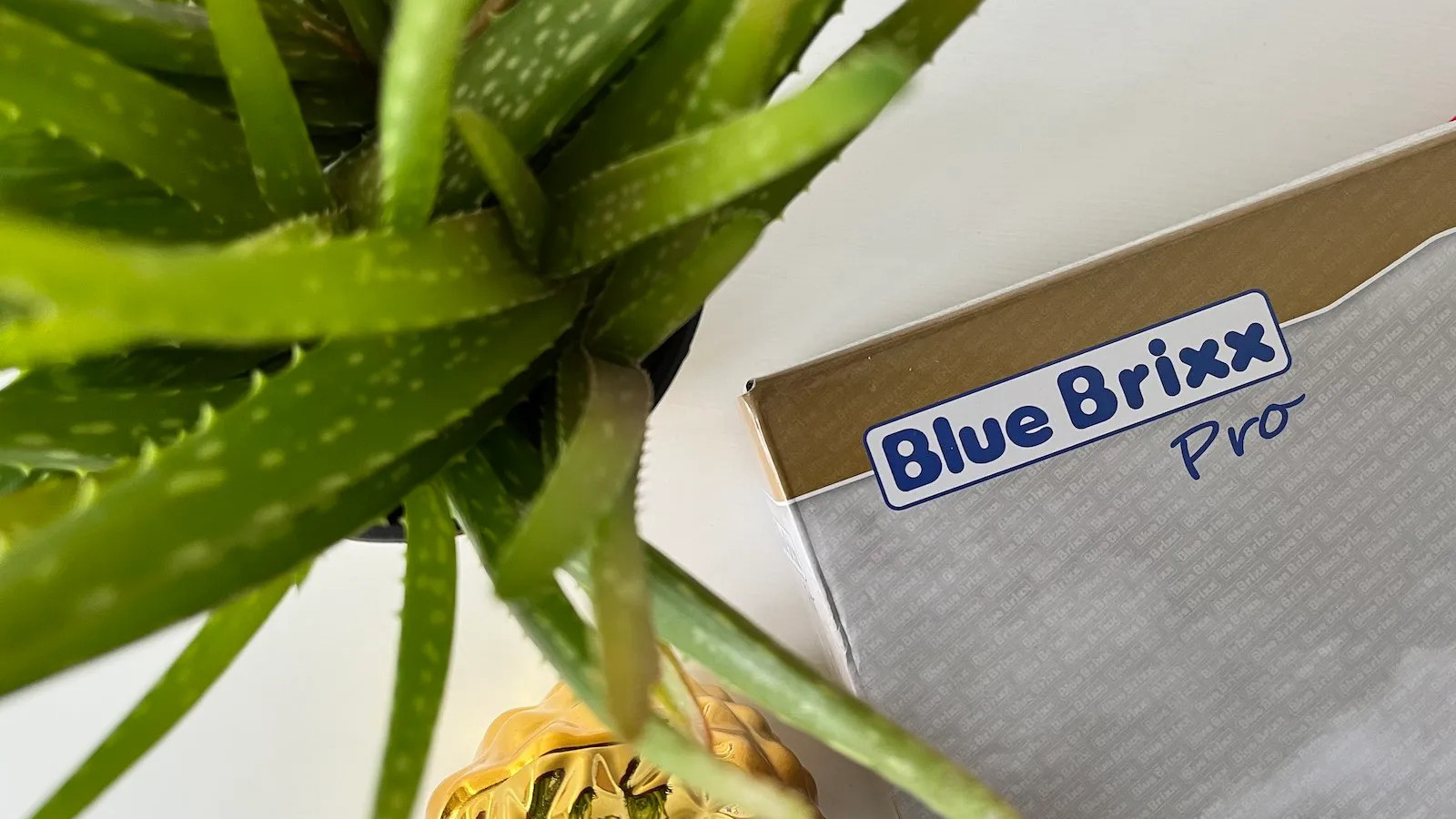 Blue Brixx Header