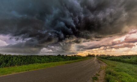 Wetter Regen Gewitter