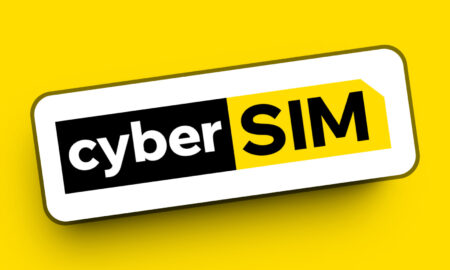 Cybersim
