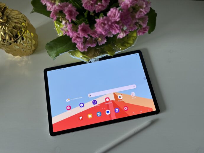 Samsung Galaxy Tab S9 Display