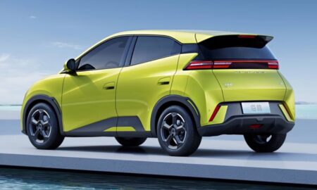 Byd Dolphin Mini Heck