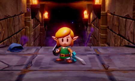 Zelda Echoes Of Wisdom