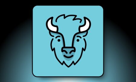 Bison