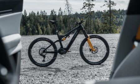 Allebike Elize Polestar Engineered Bild