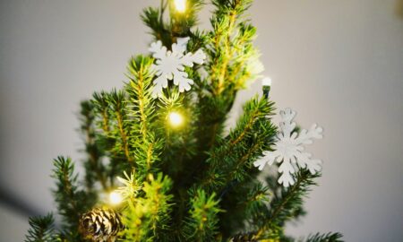 Weihnachtsbaum