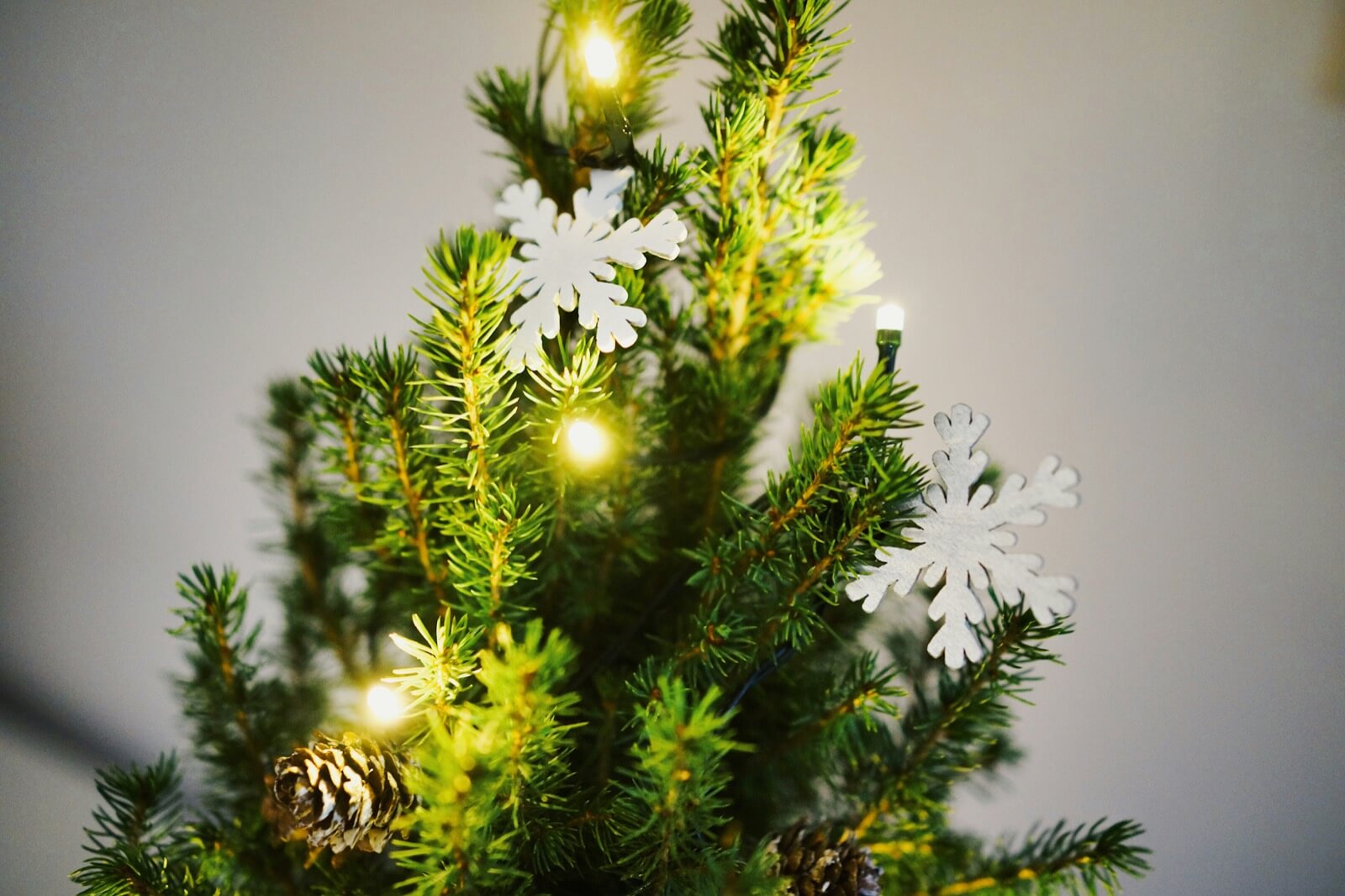 Weihnachtsbaum