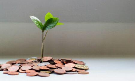 Geld Rente Wachsen Finanzen