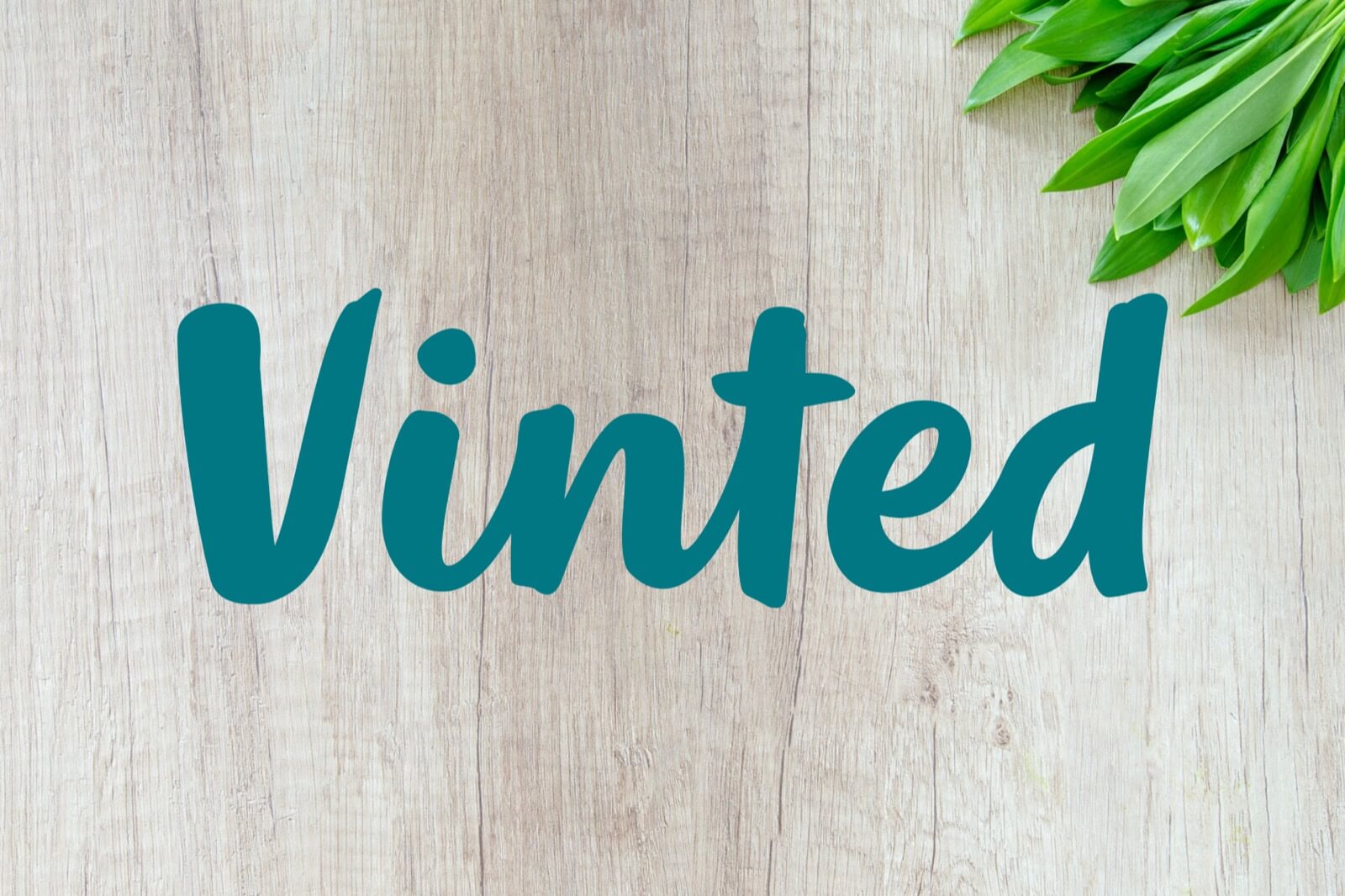 Vinted Header